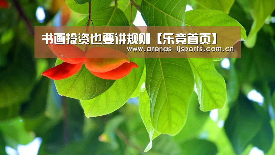 乐竞俱乐部